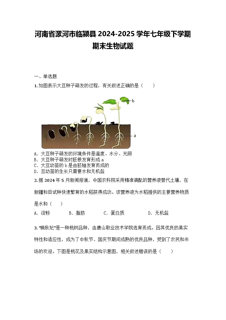 河南省漯河市临颍县2024-2025学年七年级下学期期末生物试题第1页