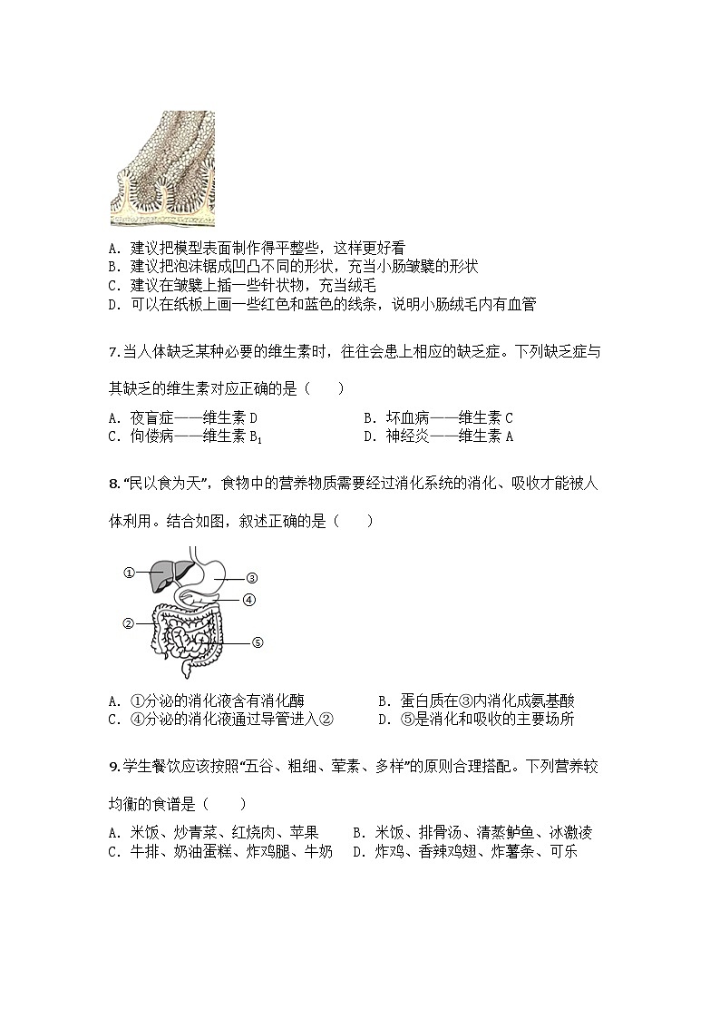 河南省漯河市临颍县2024-2025学年七年级下学期期末生物试题第3页
