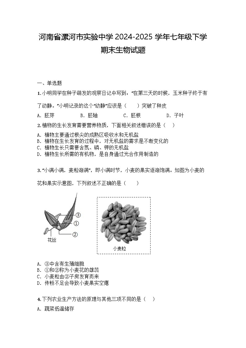 河南省漯河市实验中学2024-2025学年七年级下学期末生物试题第1页
