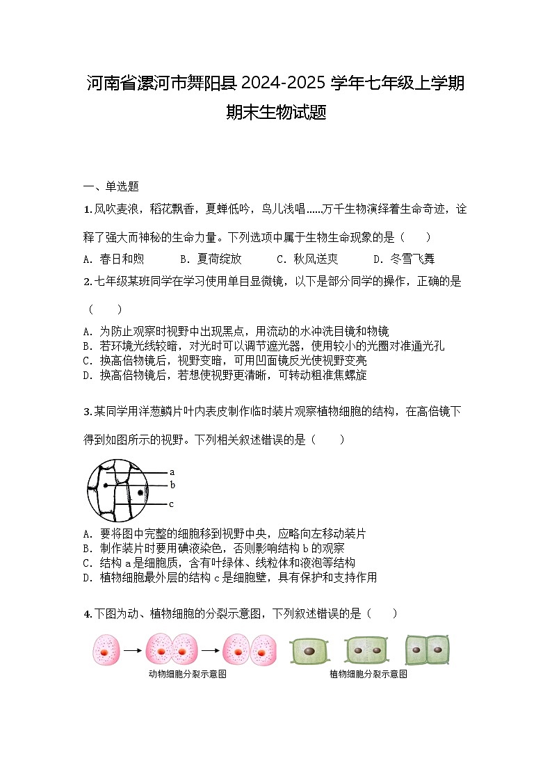 河南省漯河市舞阳县2024-2025学年七年级上学期期末生物试题第1页