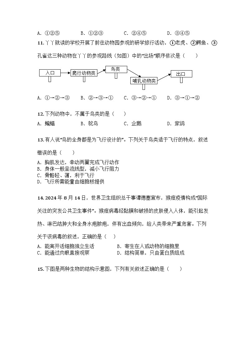 河南省漯河市舞阳县2024-2025学年七年级上学期期末生物试题第3页