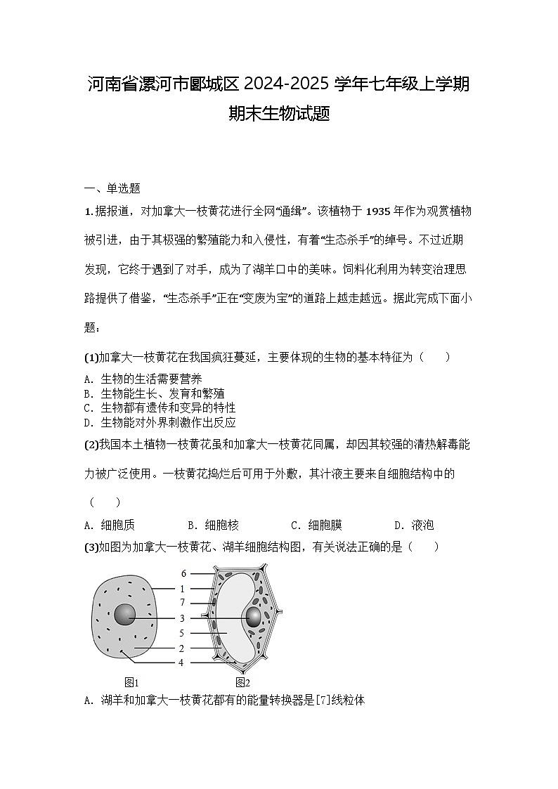 河南省漯河市郾城区2024-2025学年七年级上学期期末生物试题第1页