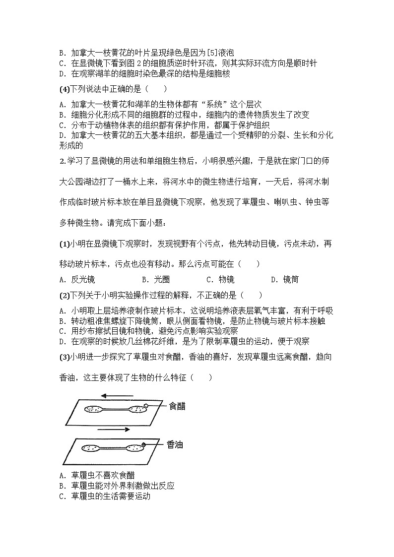 河南省漯河市郾城区2024-2025学年七年级上学期期末生物试题第2页