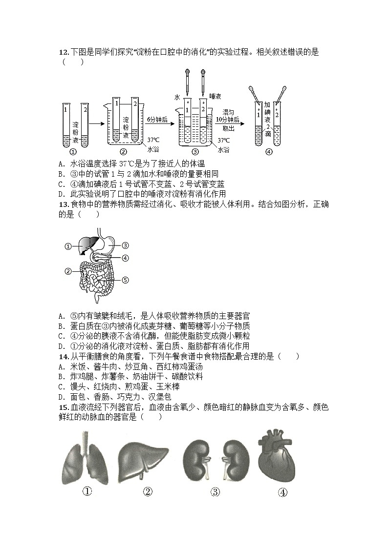 河南省南阳市方城县2024-2025学年七年级下学期期末生物试题第3页
