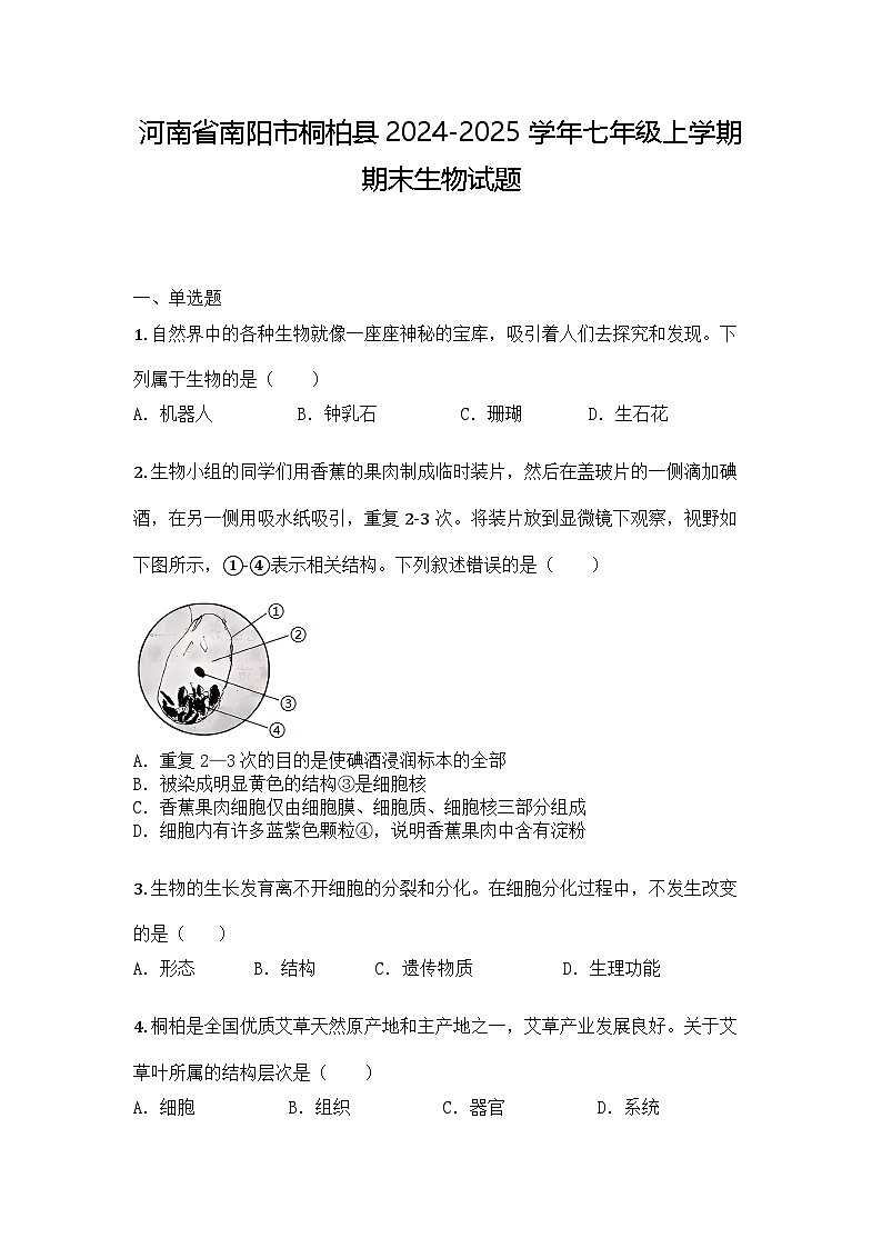 河南省南阳市桐柏县2024-2025学年七年级上学期期末生物试题第1页
