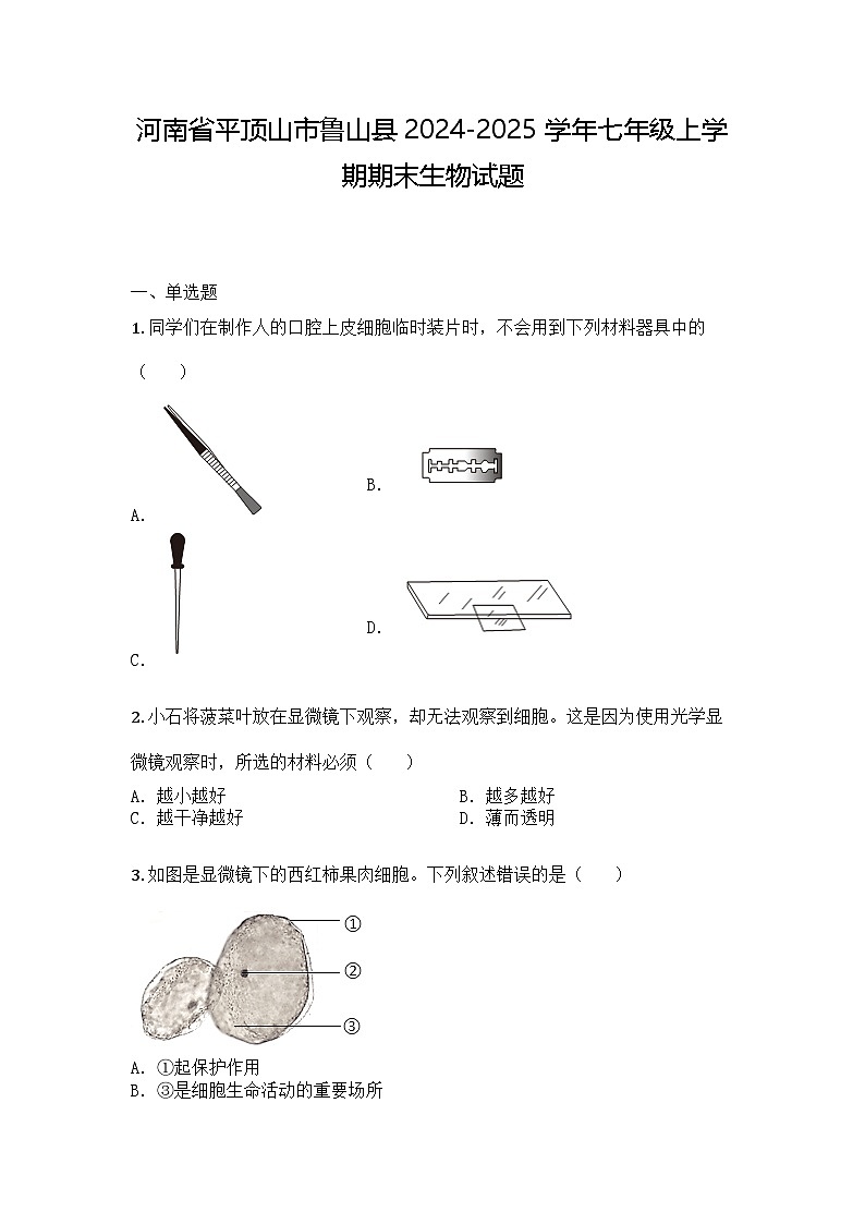 河南省平顶山市鲁山县2024-2025学年七年级上学期期末生物试题第1页