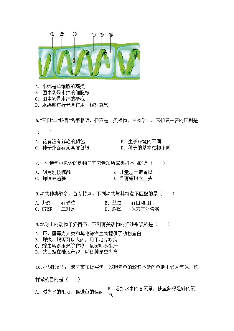 河南省平顶山市汝州市2024-2025学年七年级上学期期末生物试题第2页