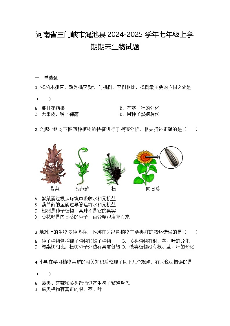 河南省三门峡市渑池县2024-2025学年七年级上学期期末生物试题第1页