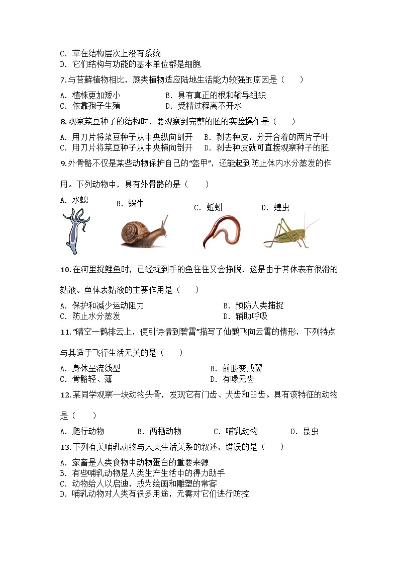 河南省商丘市民权县2024-2025学年七年级上学期期末生物试题第2页