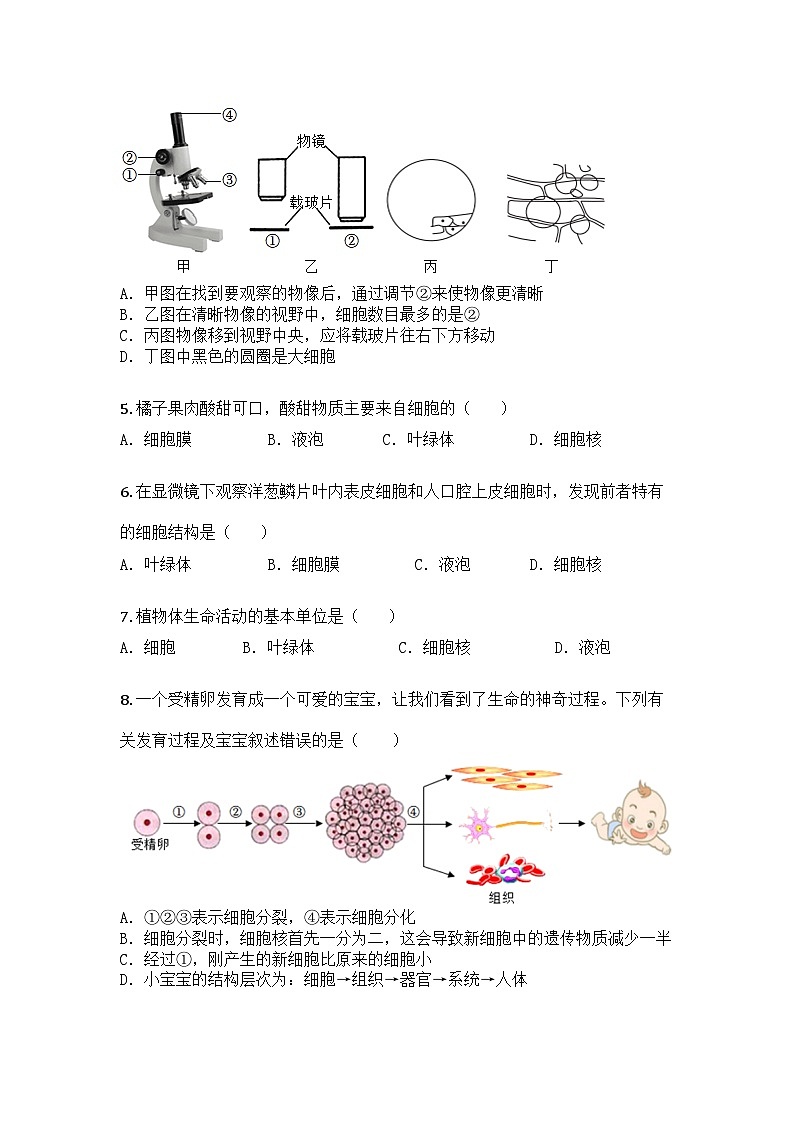 河南省商丘市睢县县城中学联考2024-2025学年七年级上学期期末生物试题第2页
