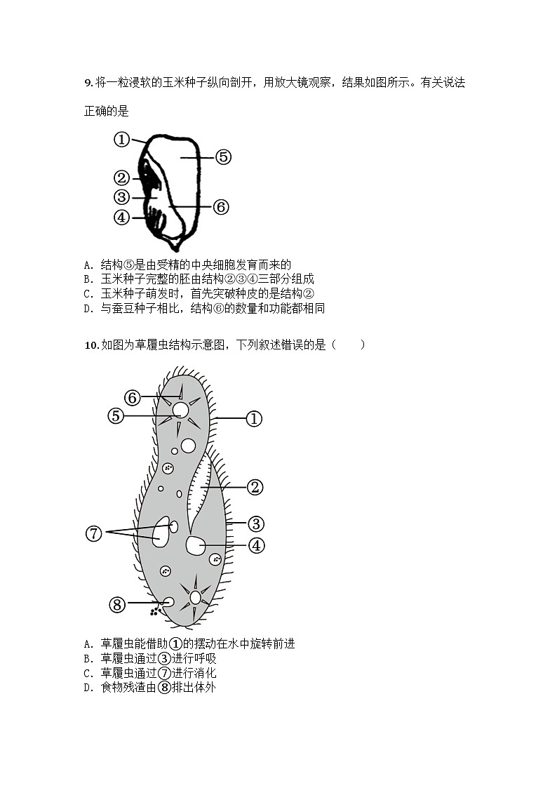 河南省商丘市睢县县城中学联考2024-2025学年七年级上学期期末生物试题第3页