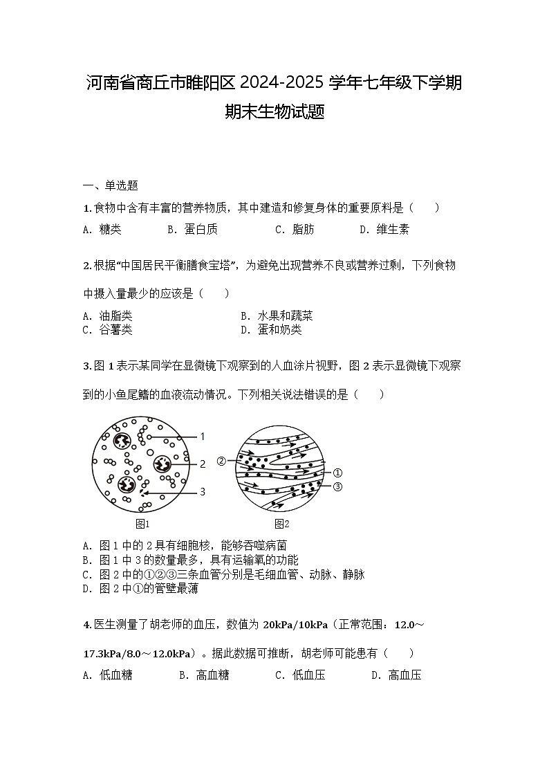 河南省商丘市睢阳区2024-2025学年七年级下学期期末生物试题第1页