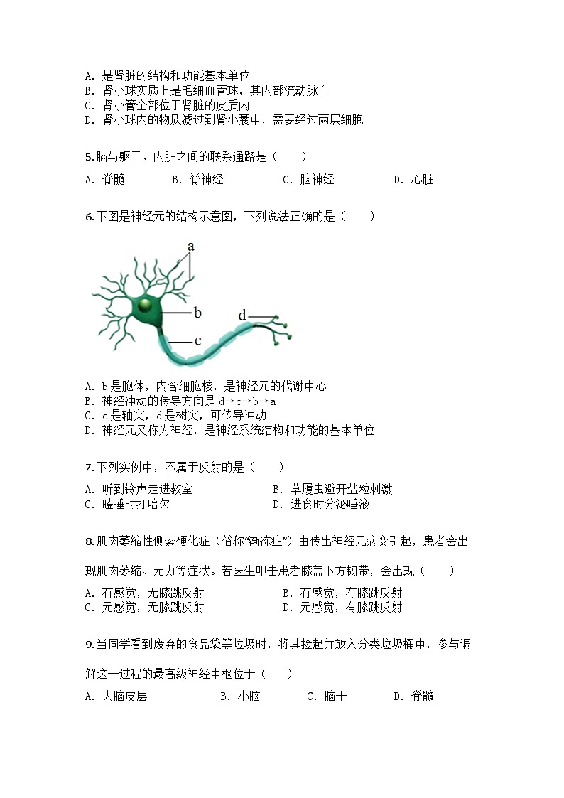 河南省商丘市拓城县2024-2025学年七年级下学期期末生物试题第2页