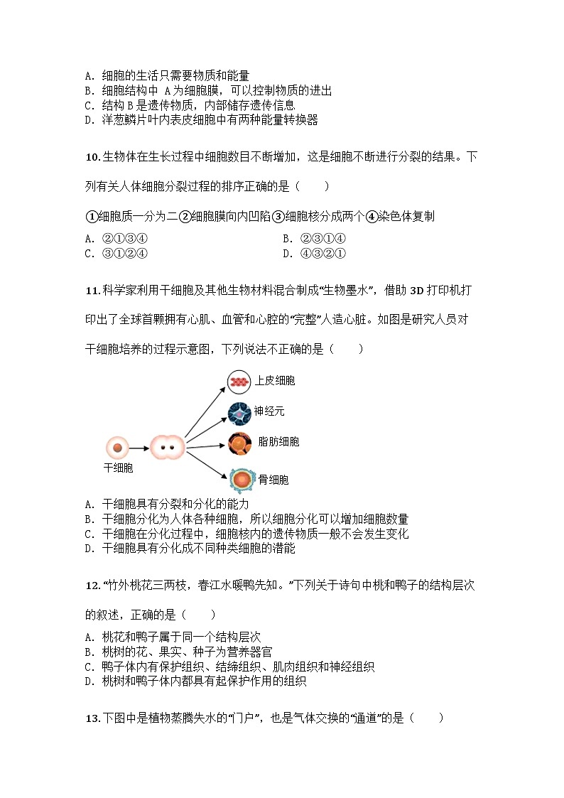 河南省商丘市夏邑县2024-2025学年七年级上学期期末生物试题第3页