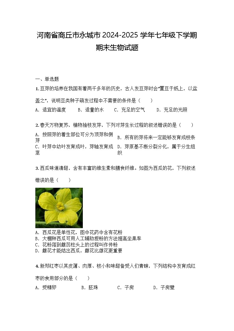 河南省商丘市永城市2024-2025学年七年级下学期期末生物试题第1页