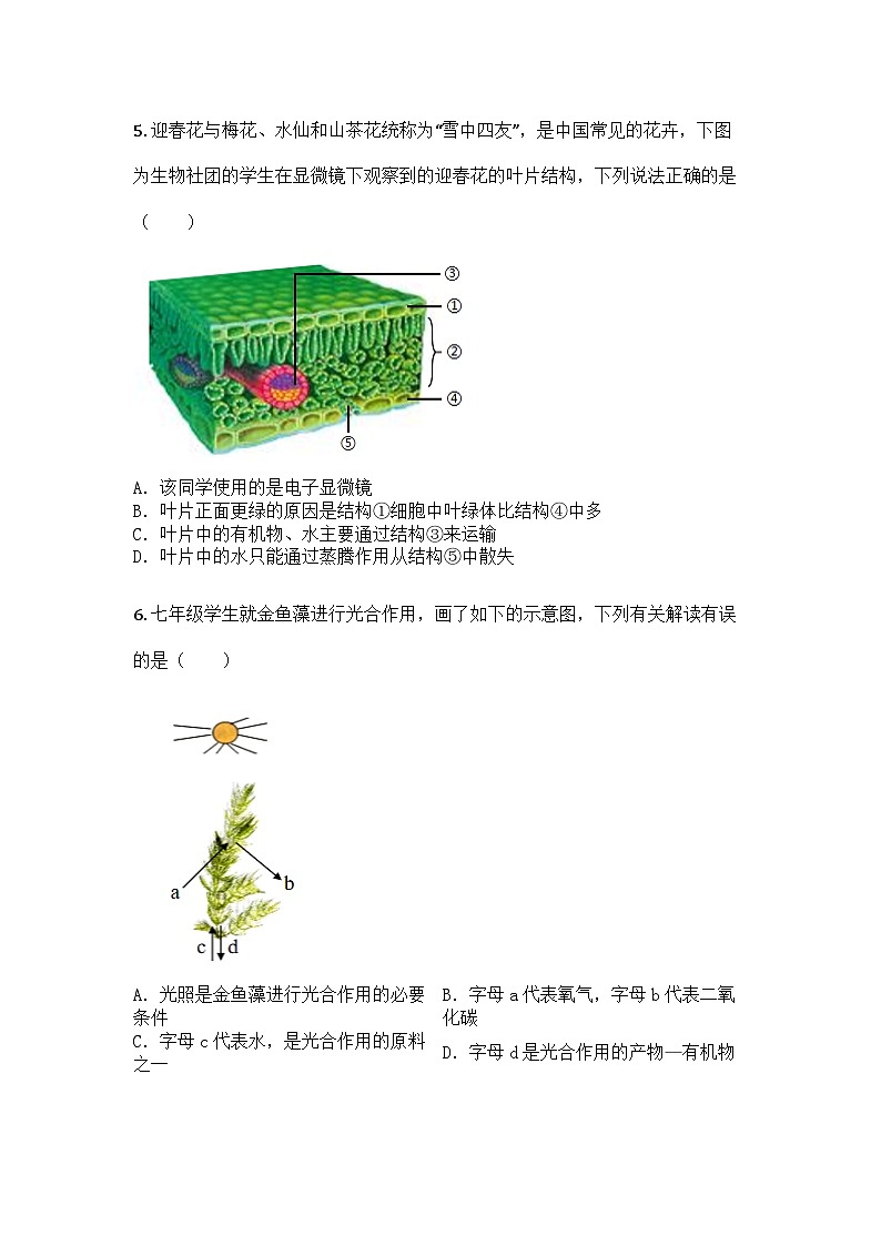 河南省商丘市永城市2024-2025学年七年级下学期期末生物试题第2页