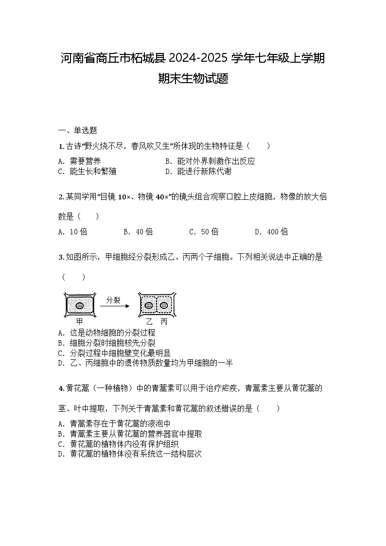 河南省商丘市柘城县2024-2025学年七年级上学期期末生物试题第1页