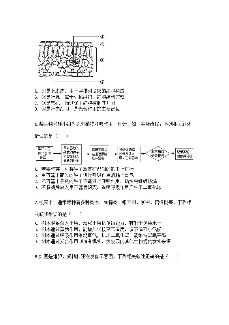 河南省新乡市2024-2025学年七年级下学期期末生物试题第3页