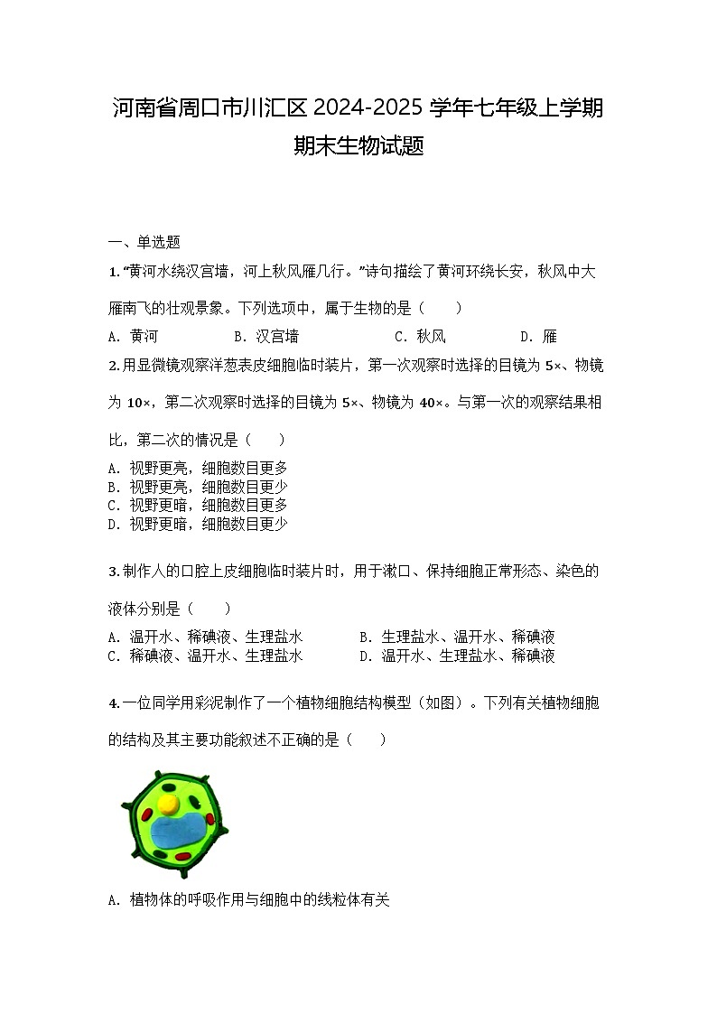 河南省周口市川汇区2024-2025学年七年级上学期期末生物试题第1页