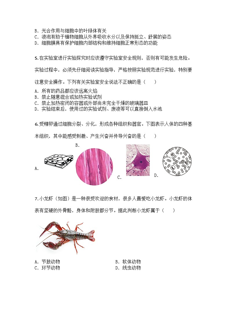 河南省周口市川汇区2024-2025学年七年级上学期期末生物试题第2页