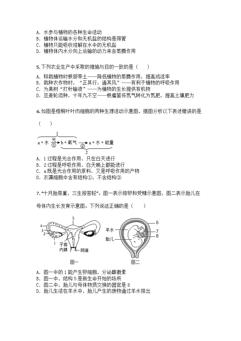 河南省新乡市第一中学2024-2025学年七年级下学期期末生物试题第2页