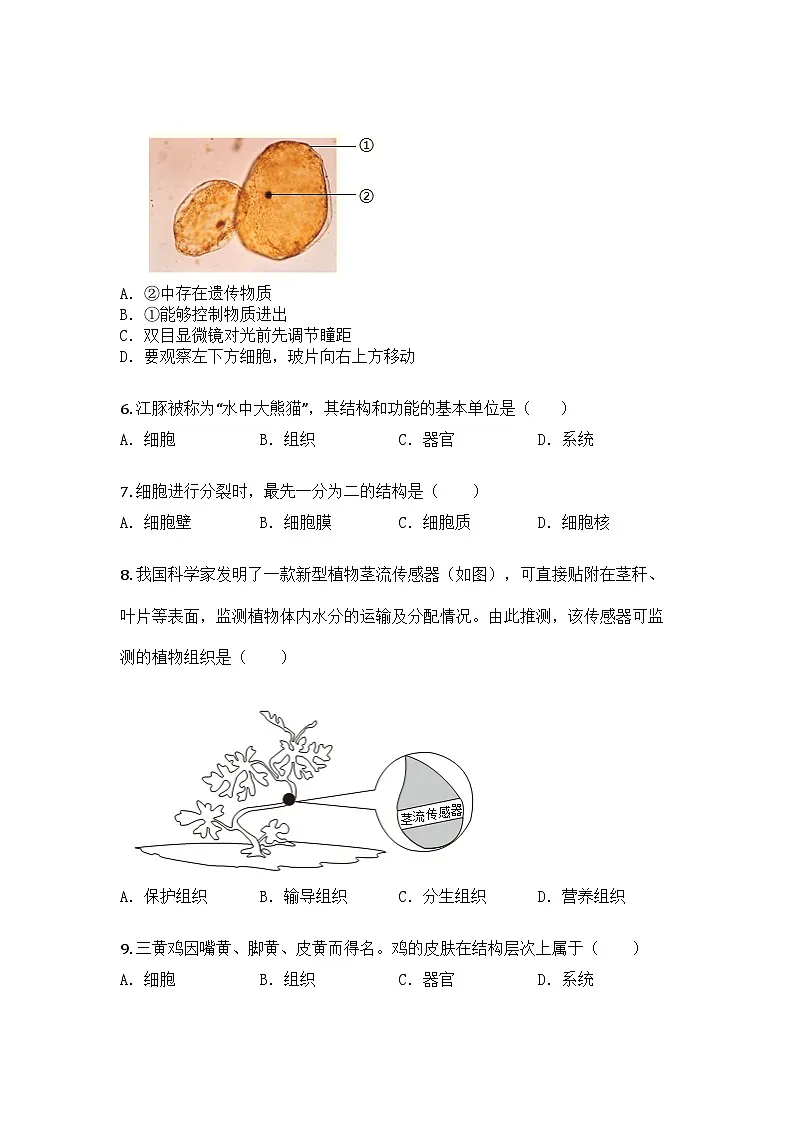 河南省信阳市平桥区2024-2025学年七年级上学期期末生物学试题第2页