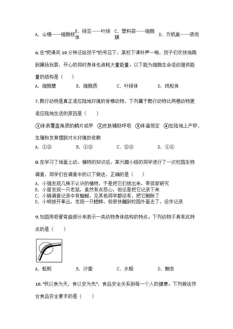 河南省信阳市罗山县2024-2025学年七年级上学期期末生物试题第2页