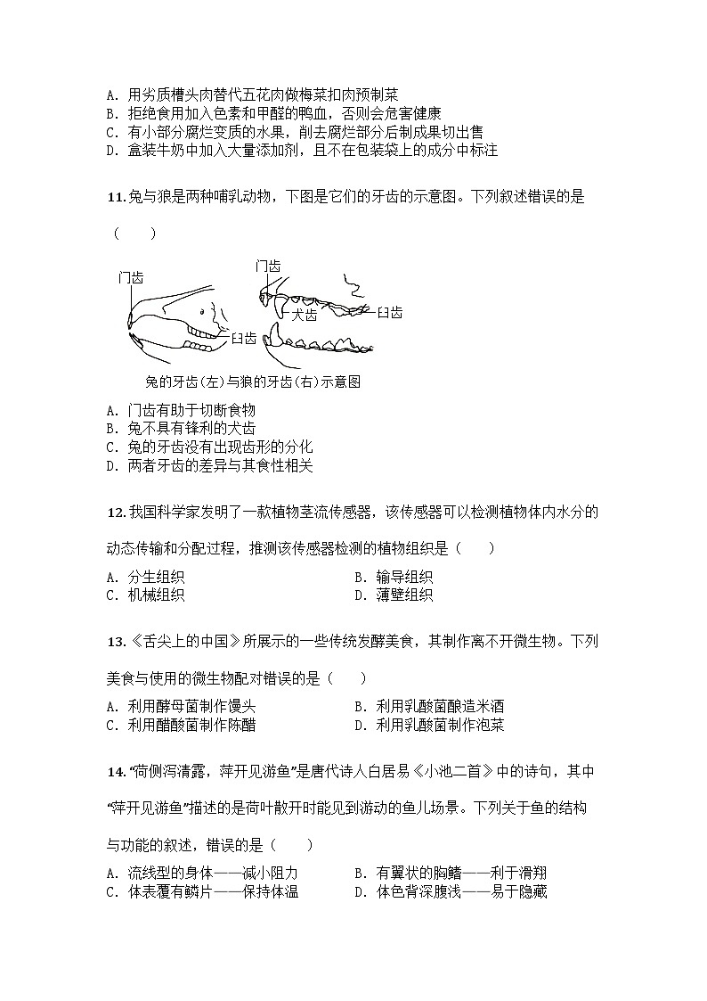 河南省信阳市罗山县2024-2025学年七年级上学期期末生物试题第3页