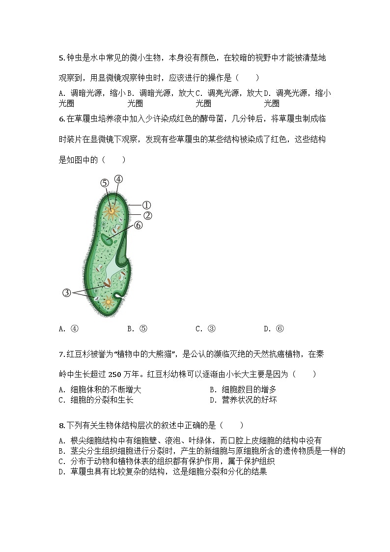 河南省驻马店市驿城区2024-2025学年七年级上学期期末生物试题第2页