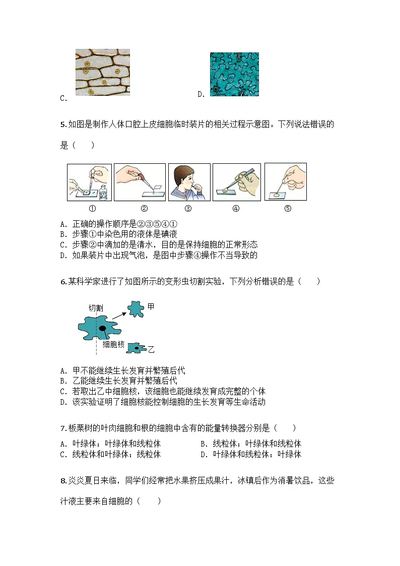 河南省周口市郸城县丁村乡等校2024-2025学年七年级上学期期末生物试题第2页