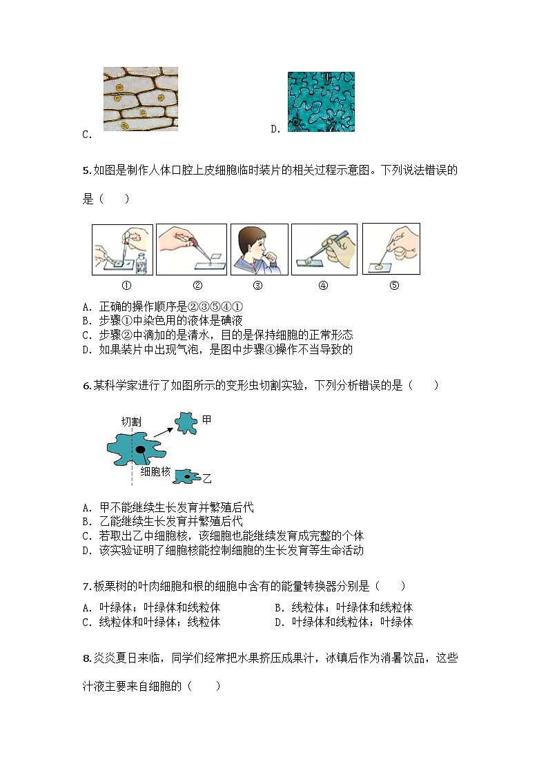 河南省周口市郸城县丁村乡等校2024-2025学年七年级上学期期末生物试题第2页