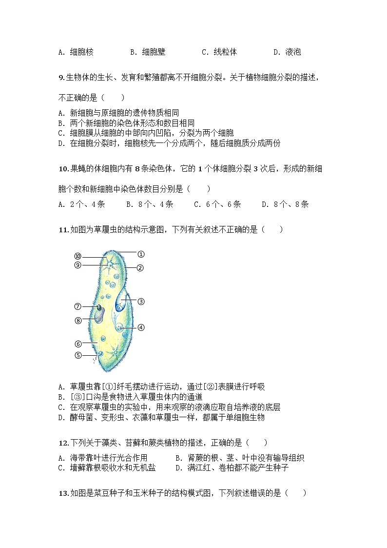 河南省周口市郸城县丁村乡等校2024-2025学年七年级上学期期末生物试题第3页