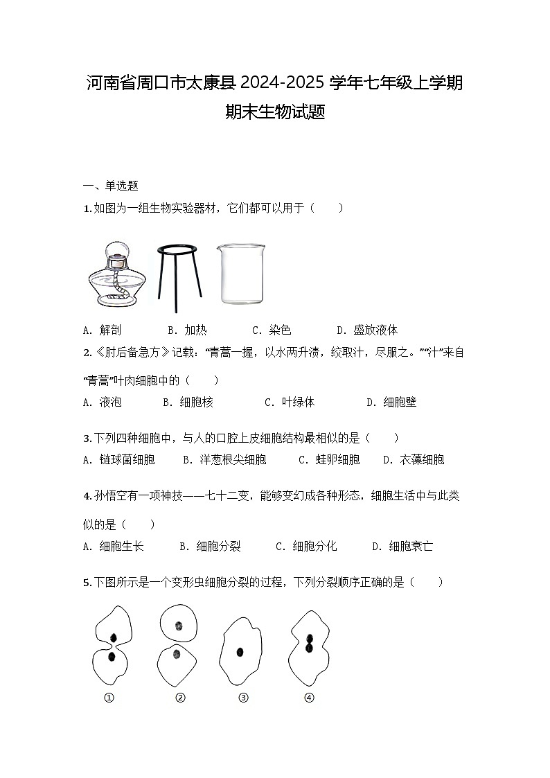 河南省周口市太康县2024-2025学年七年级上学期期末生物试题第1页
