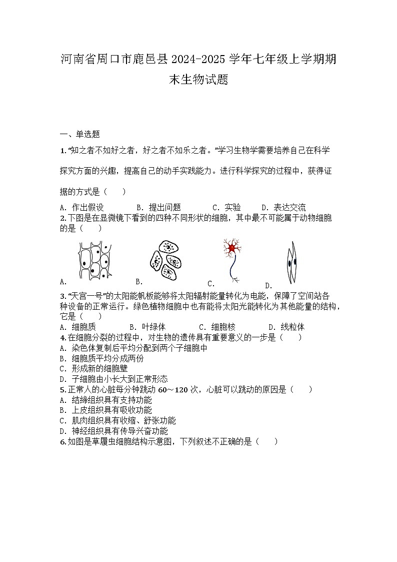 河南省周口市鹿邑县2024-2025学年七年级上学期期末生物试题第1页