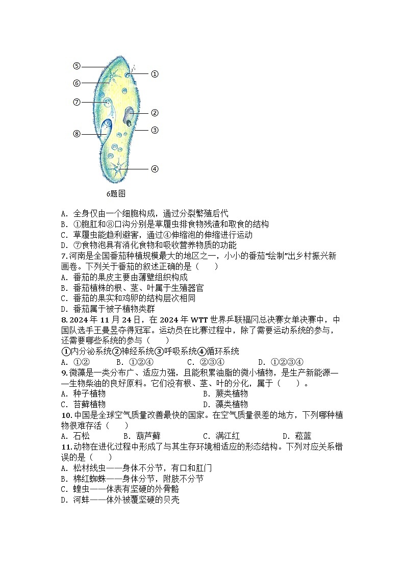 河南省周口市鹿邑县2024-2025学年七年级上学期期末生物试题第2页