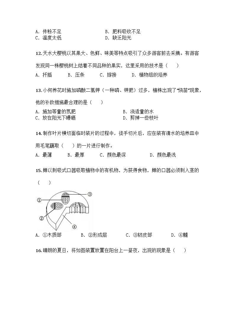 河南省周口市太康县2024-2025学年七年级下学期期末生物试题第3页