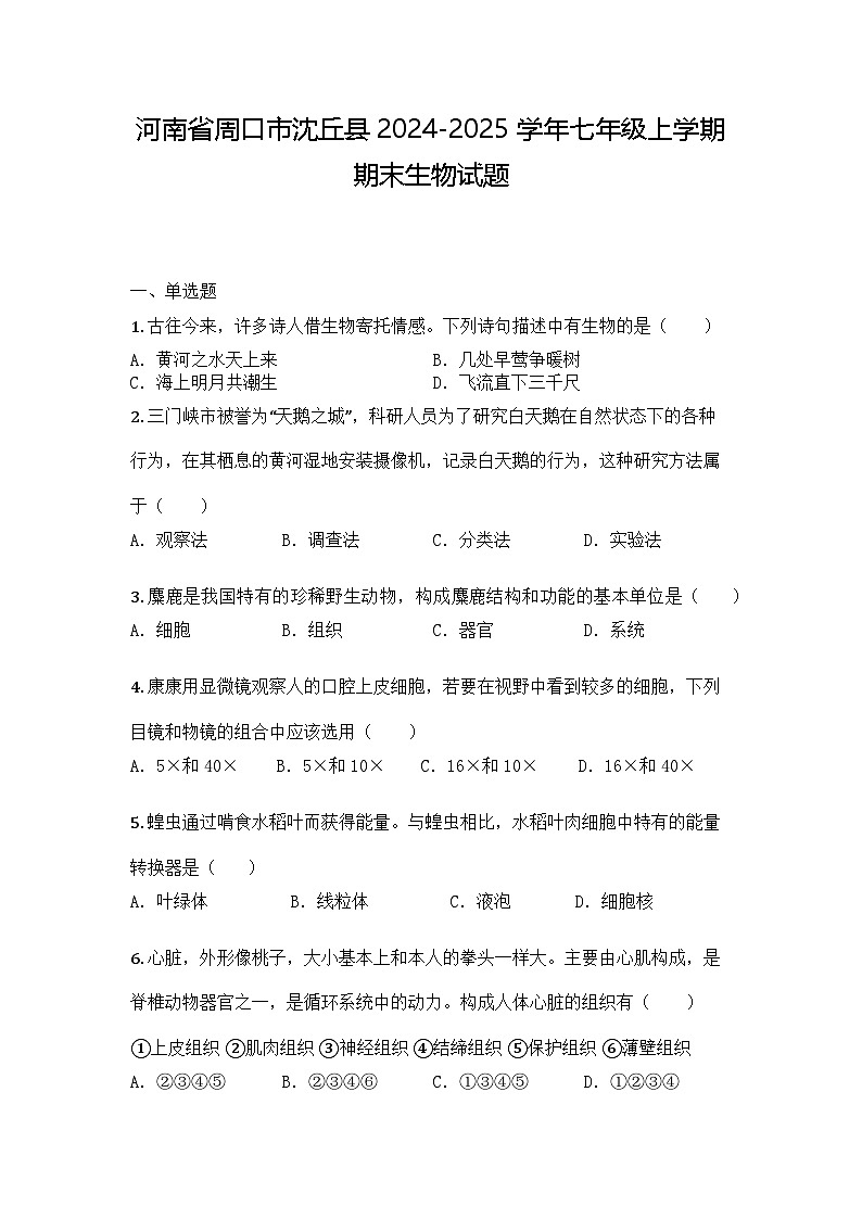 河南省周口市沈丘县2024-2025学年七年级上学期期末生物试题第1页