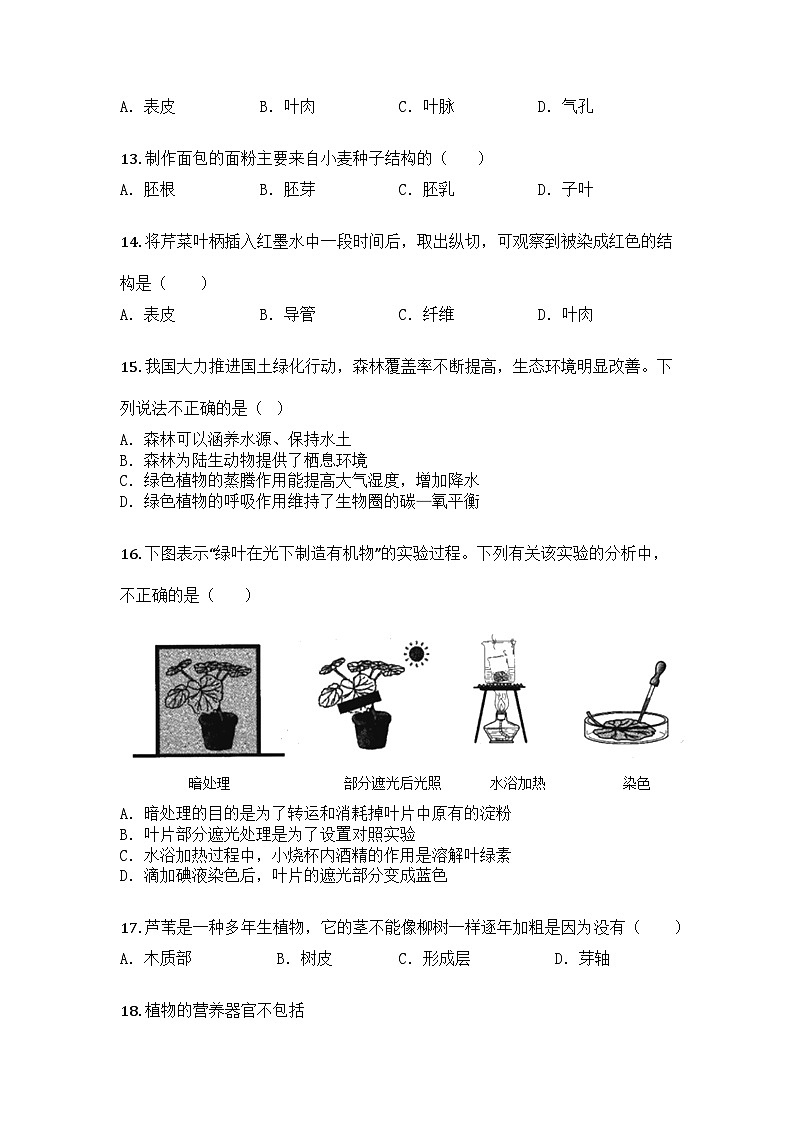 河南省驻马店市第二初级中学2024-2025学年七年级上学期期末生物学试题第3页