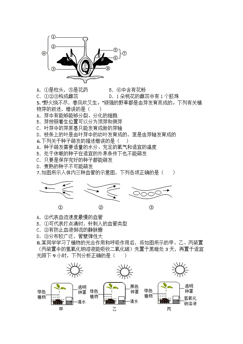 河南省新乡市原阳县2024-2025学年七年级下学期期末生物试题第2页