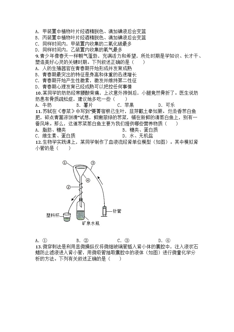河南省新乡市原阳县2024-2025学年七年级下学期期末生物试题第3页