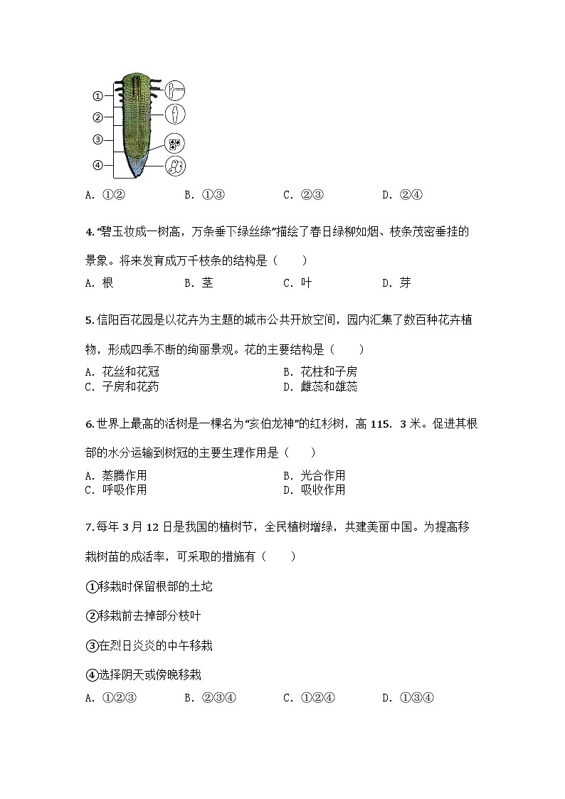 河南省信阳市息县2024-2025学年七年级下学期期末生物试题第2页