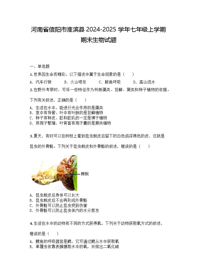 河南省信阳市淮滨县2024-2025学年七年级上学期期末生物试题第1页