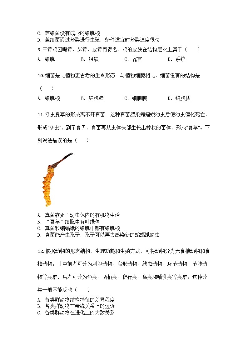 河南省信阳市淮滨县2024-2025学年七年级上学期期末生物试题第3页