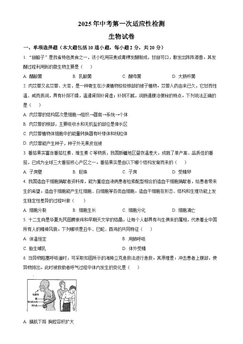 2025年甘肃省酒泉市中考一模生物试题（原卷版）-A4第1页