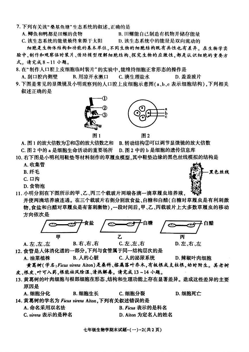 陕西省渭南市蒲城县2025-2026学年七年级上学期1月期末生物试题第2页