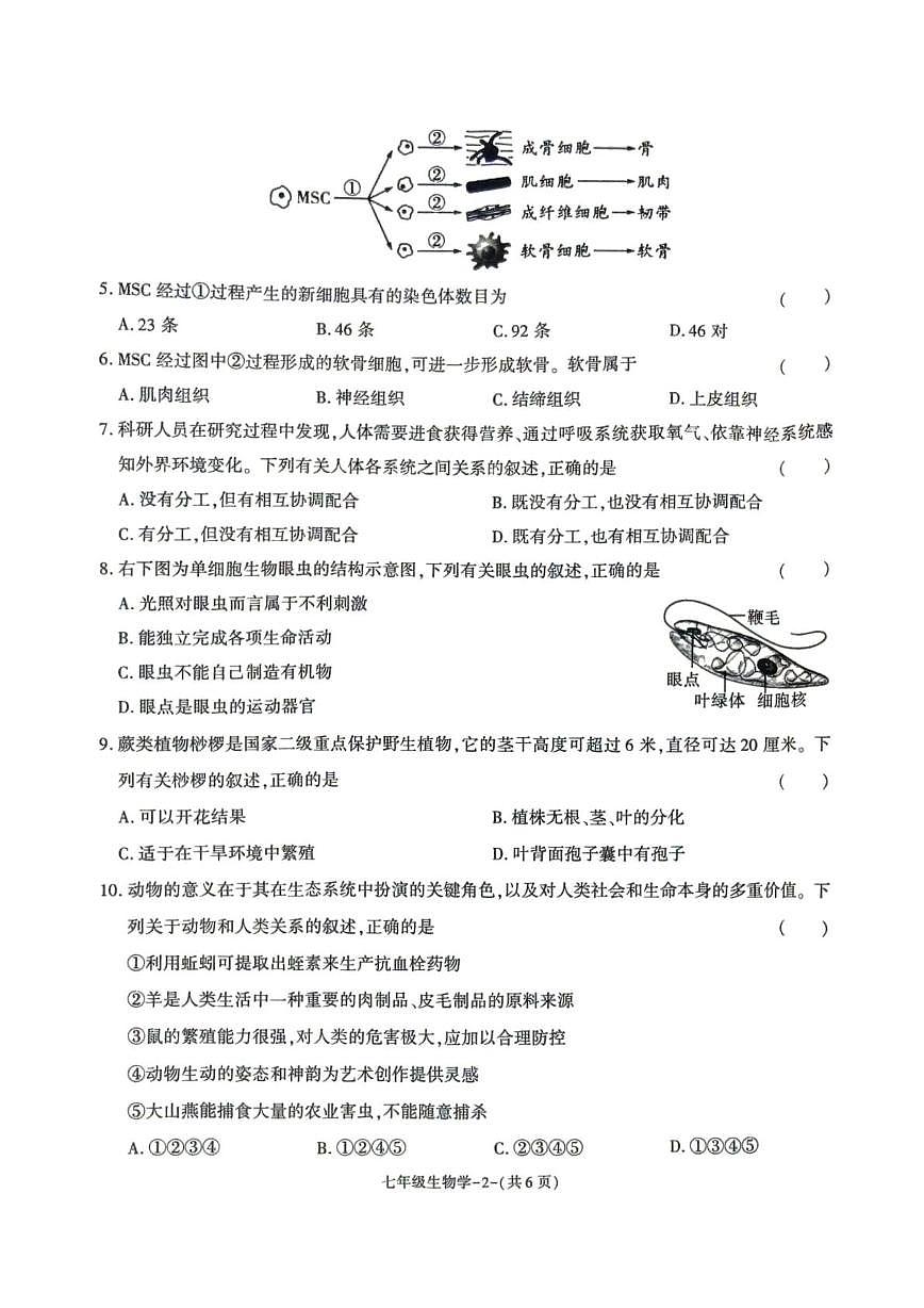 陕西省榆林市城区联考2025-2026学年七年级上学期期末生物试卷第2页