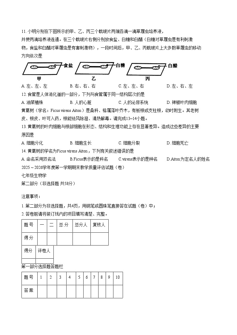 陕西省渭南市蒲城县2025_2026学年七年级上学期1月期末生物试题(文字版含答案)第3页