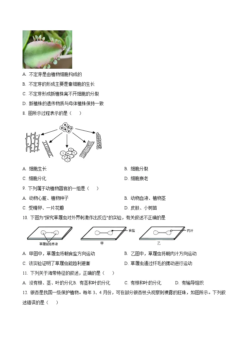 安徽省淮北市濉溪县部分校联考2025-2026学年七年级上学期12月月考生物试题第2页