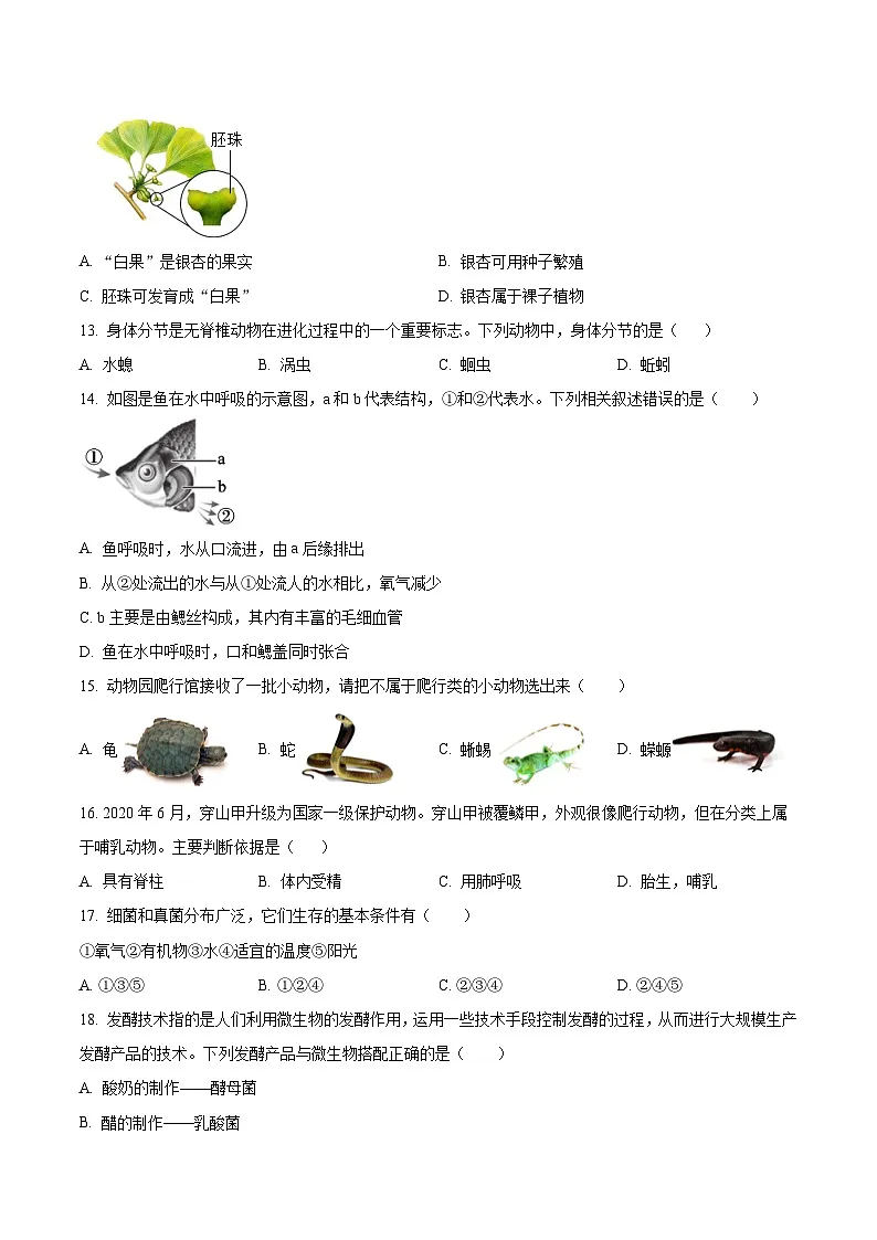 安徽省淮北市濉溪县部分校联考2025-2026学年七年级上学期12月月考生物试题第3页