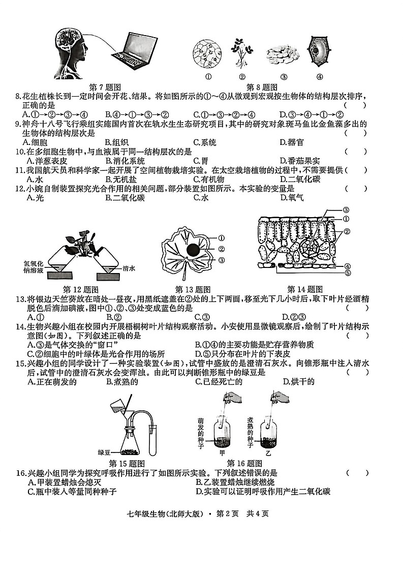 安徽省宿州市部分学校2025-2026学年度七年级上学期12月月考生物试卷第2页